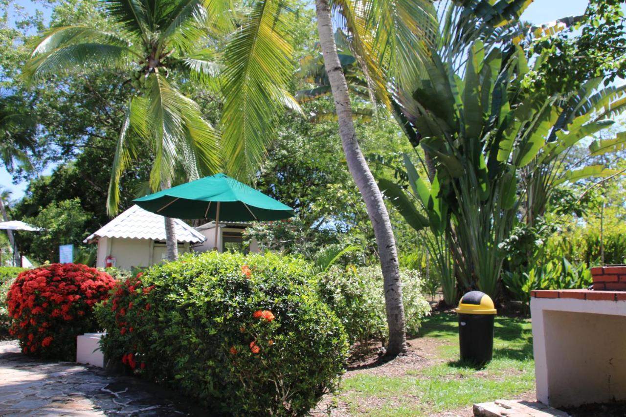 Tropical Bliss Pool Wi-Fi Bbq Near Quepos Manuel Antonio Apartment ภายนอก รูปภาพ